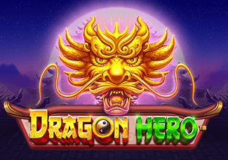 Dragon Hero icon